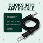 Clicks into any buckle — features