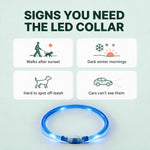Signs you need the LED collar
