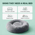 Signs they need a real bed
