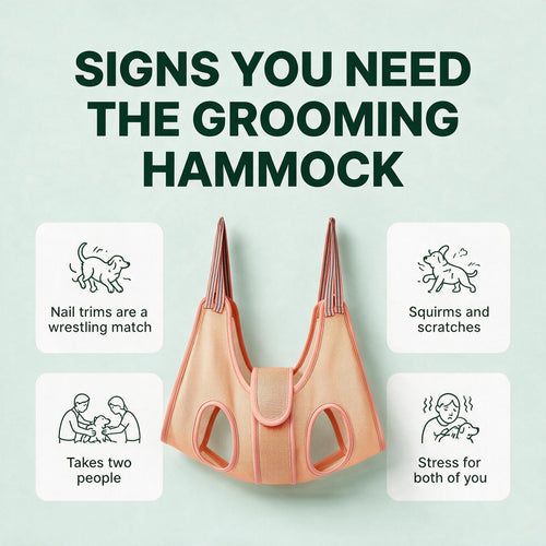 Signs you need the grooming hammock