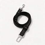 Dog car seat belt — studio packshot