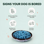 Signs your dog is bored